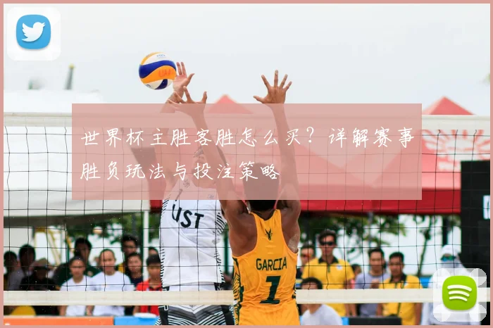 世界杯主胜客胜怎么买？详解赛事胜负玩法与投注策略