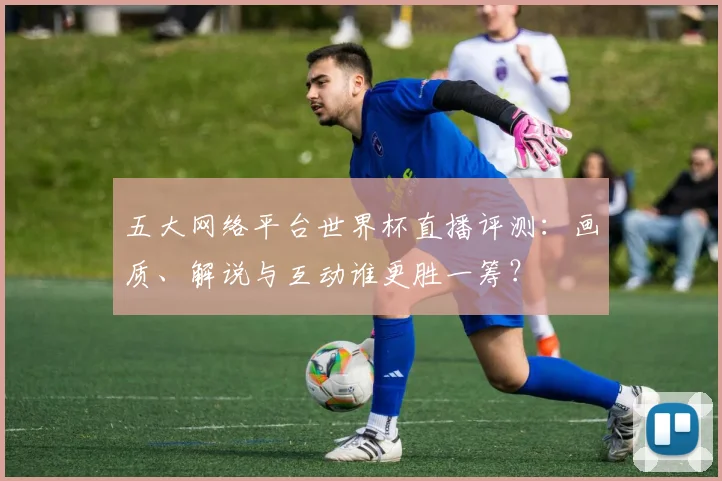 五大网络平台世界杯直播评测:画质、解说与互动谁更胜一筹?