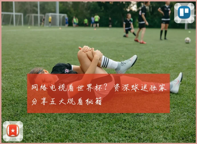 网络电视看世界杯？资深球迷独家分享五大观看秘籍