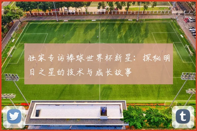 独家专访棒球世界杯新星:探秘明日之星的技术与成长故事